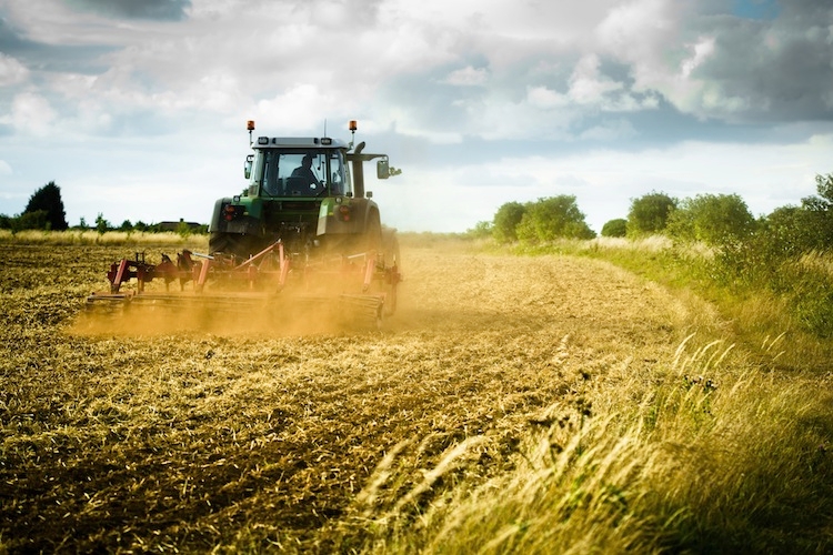Lazio: la giunta regionale approva le linee del piano agricolo