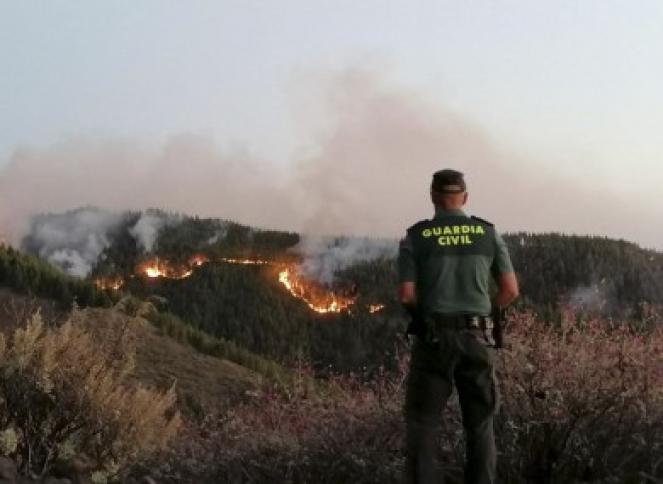 Oltre 5000 turisti e residenti evacuati per un grande incendio a Gran Canaria