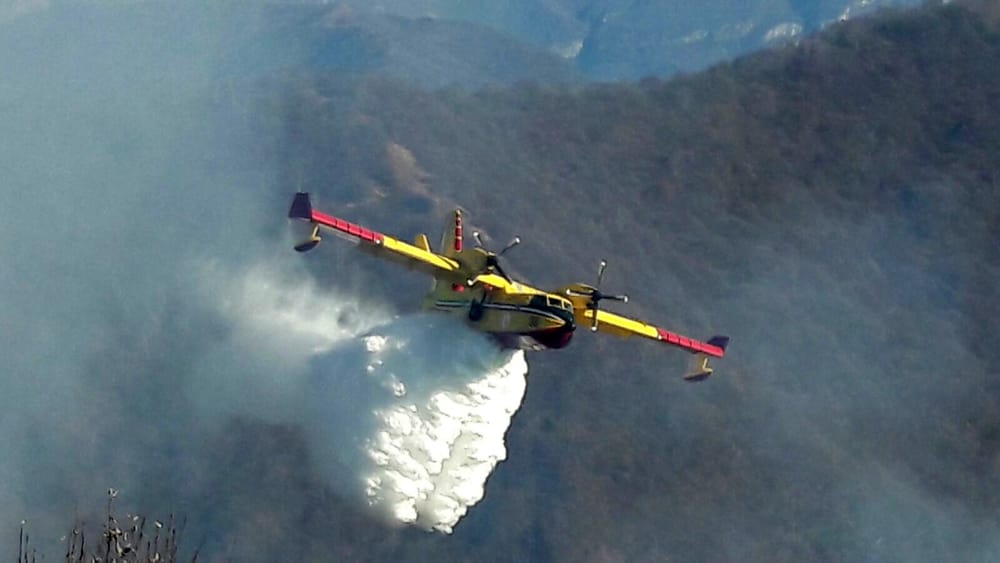 Incendi, non c’è solo l’Amazzonia. Da inizio 2019 tre milioni di allerte nel mondo