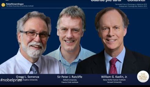 Nobel per la medicina a due americani ed un britannico
