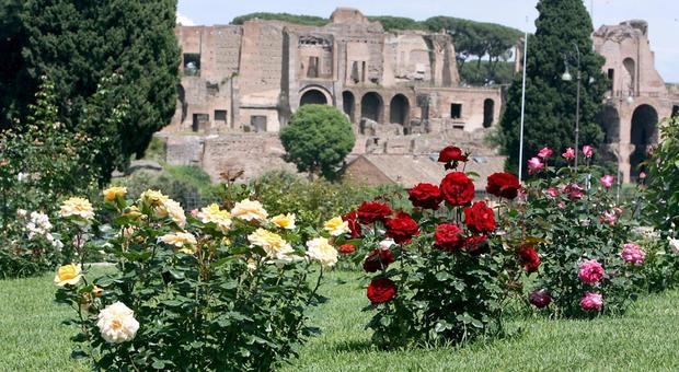 Roma: Campidoglio, il Roseto Comunale riapre i cancelli per la rifiorenza