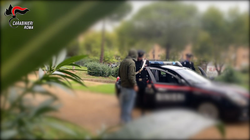Operazione “Snow Pistols” dei Carabinieri, arresti per otto con l’accusa di spaccio e detenzione di droga