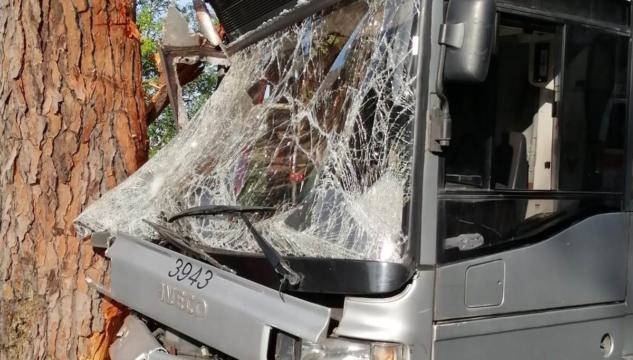 Bus contro albero sulla Cassia, sono 29 i feriti