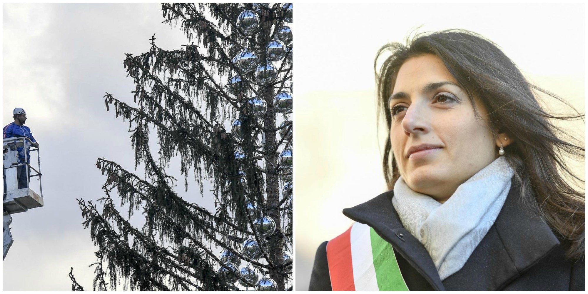 Roma, dialogo Twitter surreale tra Raggi e Spelacchio