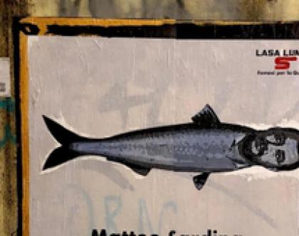 Street art, ai Navigli compare una sardina con il volto di Salvini