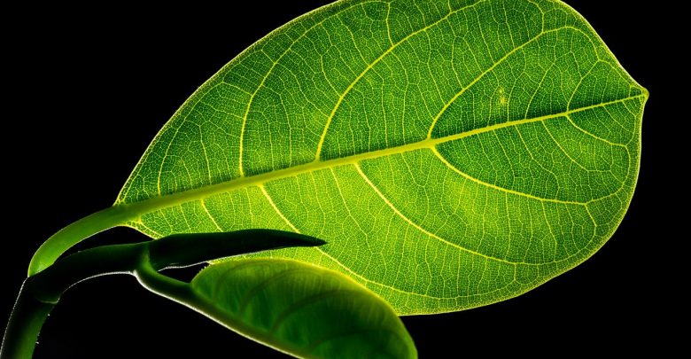 L’Ue approva il ‘just transition mechanism’. 100 miliardi per clima e ambiente