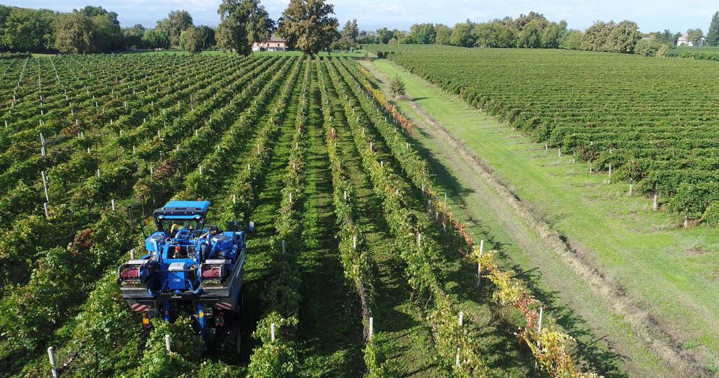 Bilancio pluriennale UE, Giansanti (Confagricoltura):