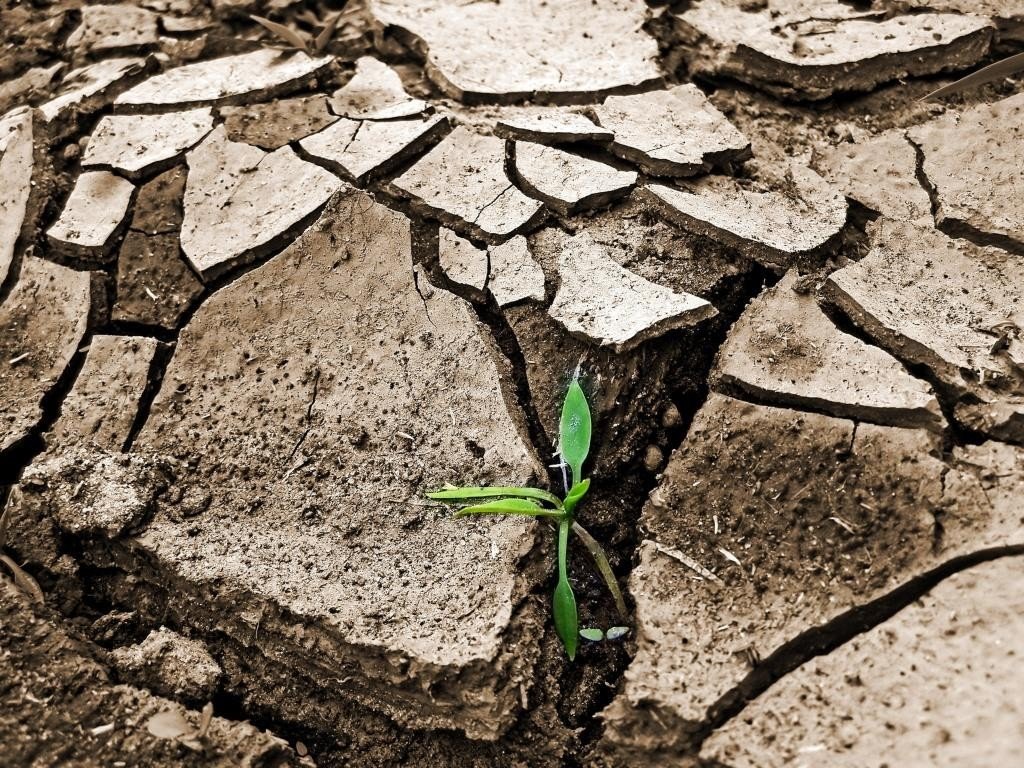 Pil: Coldiretti, clima estremo taglia l’agricoltura (-1,6%)