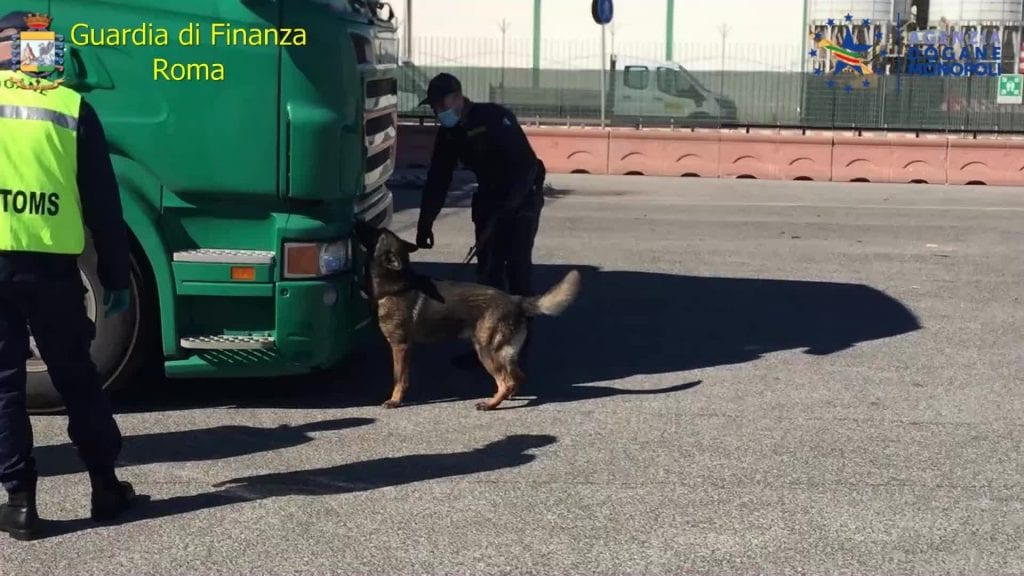 Carico di marijuana intercettato nel Porto di Civitavecchia