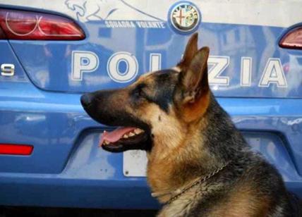 Spaccio, la Polizia di Stato mobilitata in diversi quartieri della Capitale