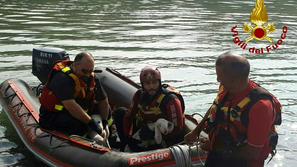 Maltempo, i Vigili del fuoco rischiano la vita sull’Adige per salvare delle persone finite in acqua. Due dispersi