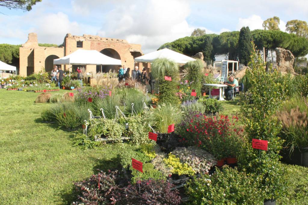 Civitavecchia si prepara ad aprire ’Terme in Fiore’