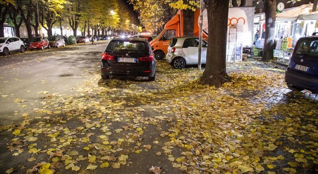 Denuncia del Pd: “Nessun piano foglie per 2020, Capitale sott’acqua. L’Ama è stremata…”