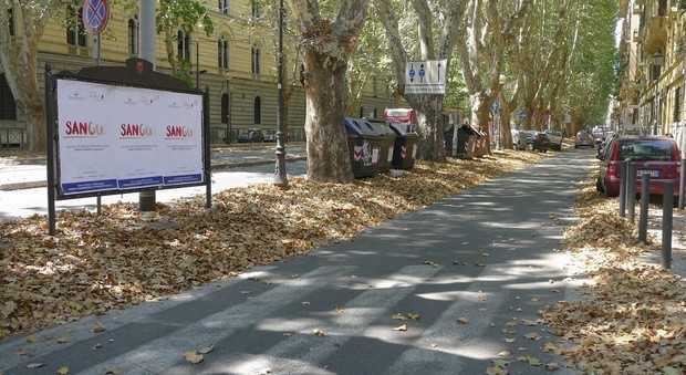 Ama si difende e contrattacca: