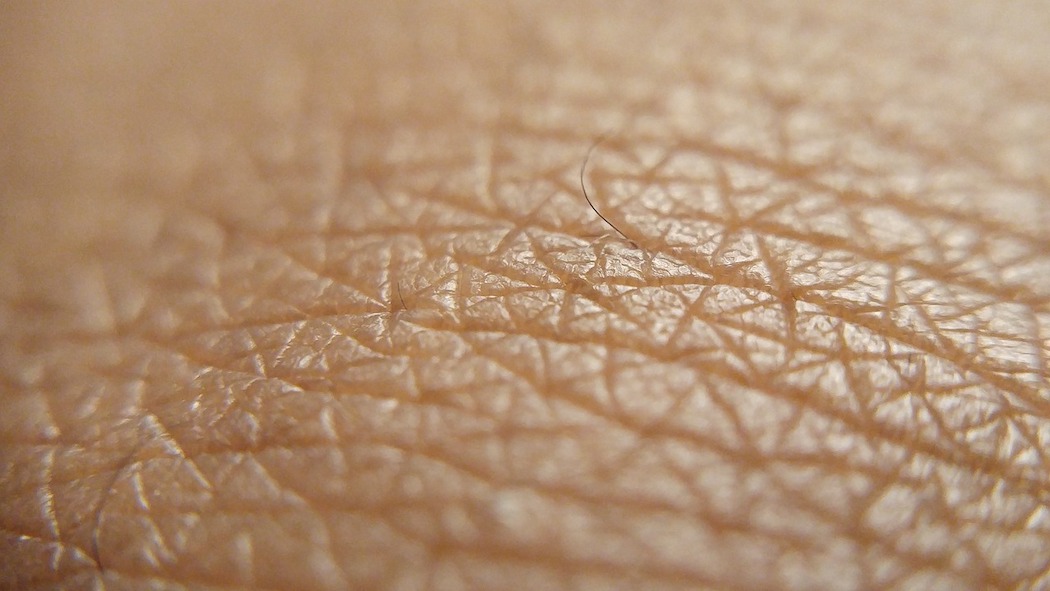 Studio scientifico ci dice che il virus sopravvive sulla pelle per almeno 9 ore